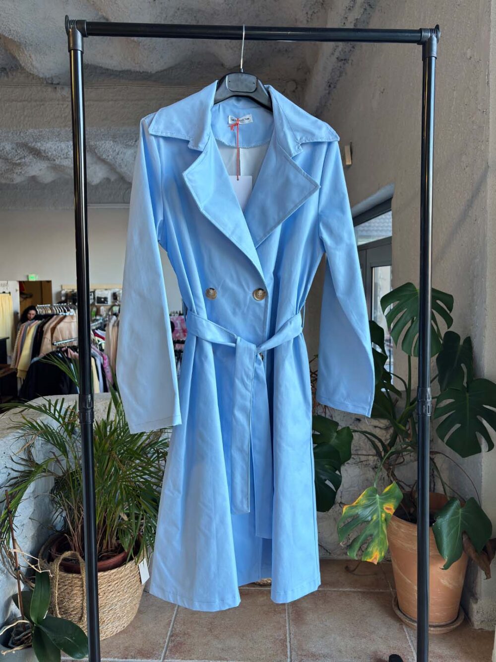 f galazia kamparntina f galazia kamparntina