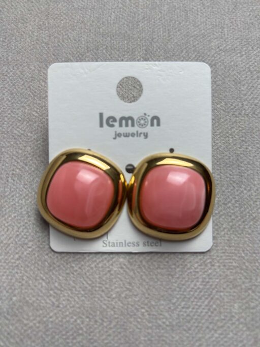 Rounded Resin Stud Σκουλαρίκια Stainless Steel